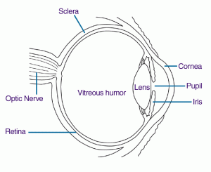 Lens Implants